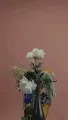 Bloom I