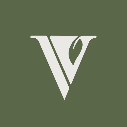 Vybe Village Records