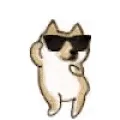 DogsRuleTheWorld