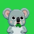 Cute Koalas Club Official