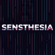 Sensthesia by Zeblocks