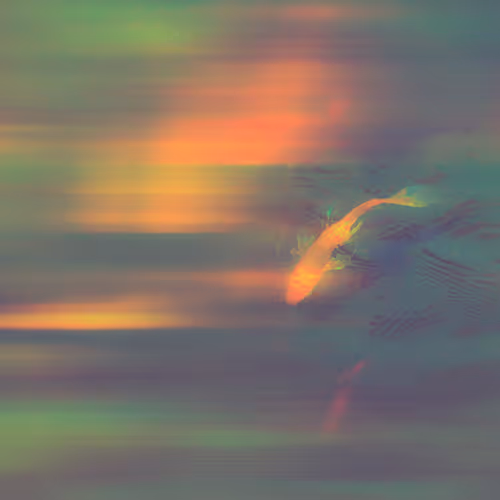 Swimming In Circles
