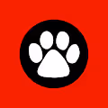 Omnicat's World