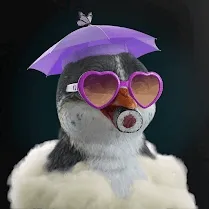 First Meta Penguin Cards