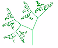 RareFractals