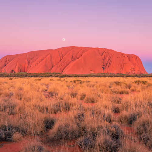 Intrepid Outback