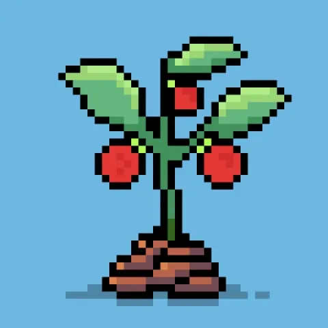 The Tomatoz