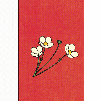 Lamamals' Editions