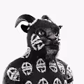 THE BORED GOATS COLLECTION