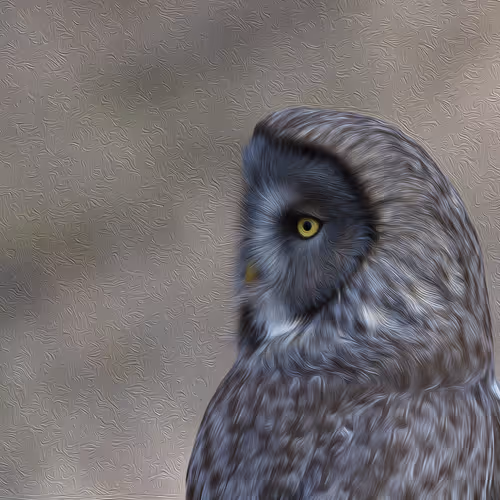 Canadian Wilds Birds