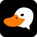 Slacker Duck Incubator - old