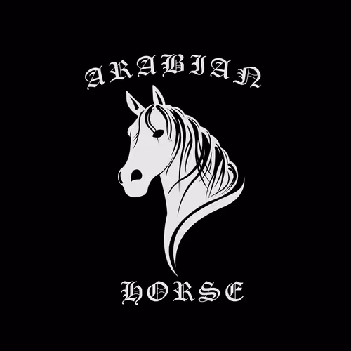 ARABIAN HORSE