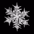 WINTΞR Seasons
