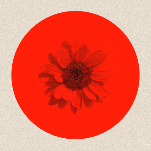 Les Fleurs de SORRISO