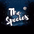 The Species Pandas