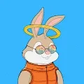 Chunky Bunnies NFT