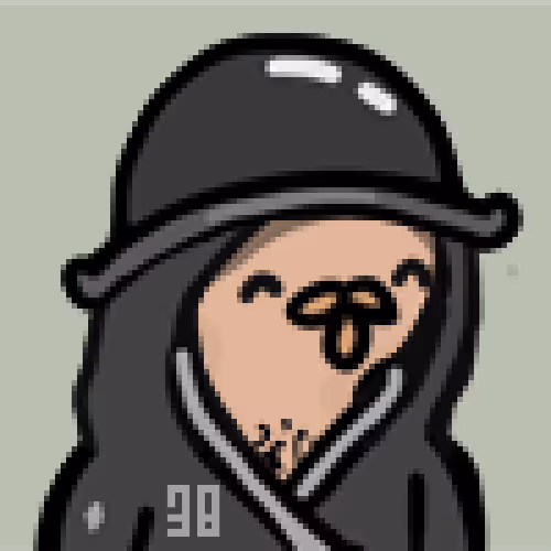 PIXEL B0IZ
