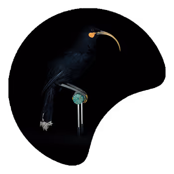 Manawarahi