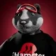 xHamster NFT