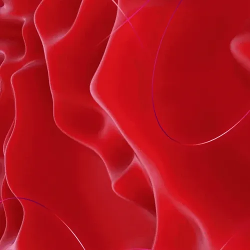 Animated Gscamilo