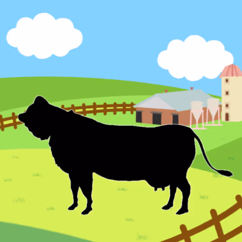 Paradero ranch