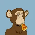Bored Bears Official