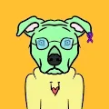 Crypto Pitties Awareness