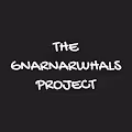 The GnarNarwhals Project