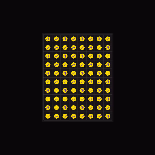 YELLOW CHECKS