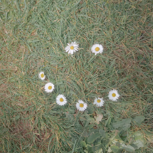 PhotoFilePhrens Vol.1