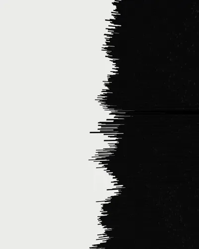 Black/White Line