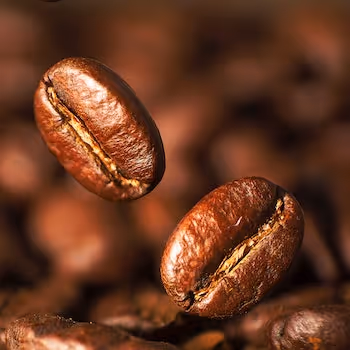Daikanyama Roastery