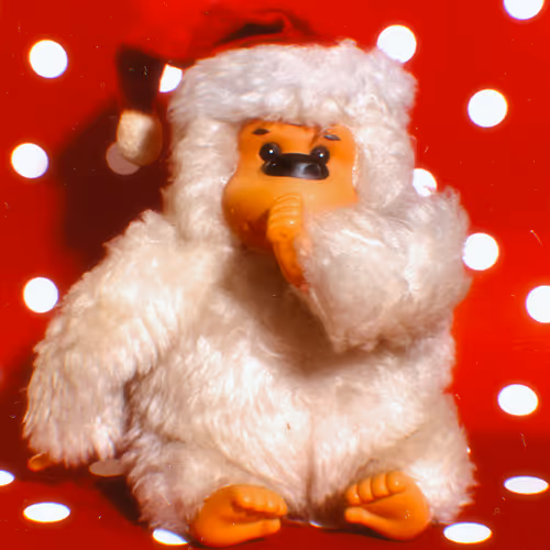 Merry Making with SIDNE