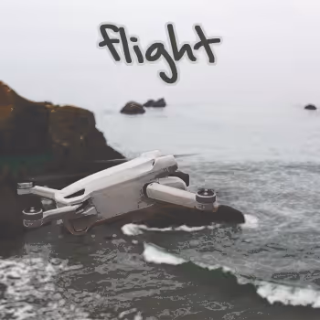 Flight: Editions