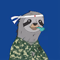 Sleepy Sloth Club