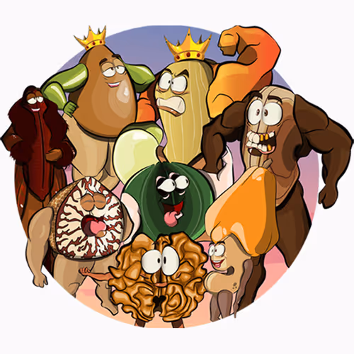 NutCity