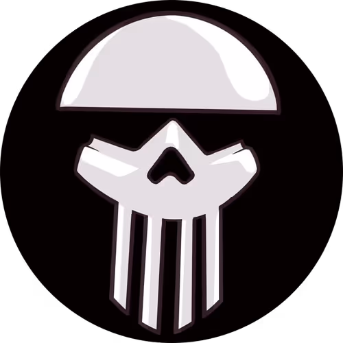 The Street Punisher