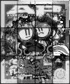 Sol Flowers x AP Cover Remix