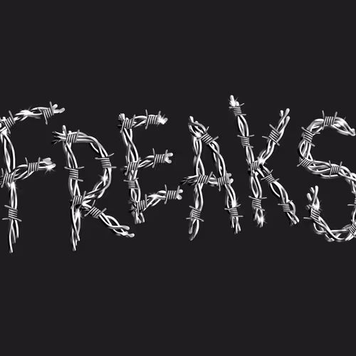 FREAKS NFTS