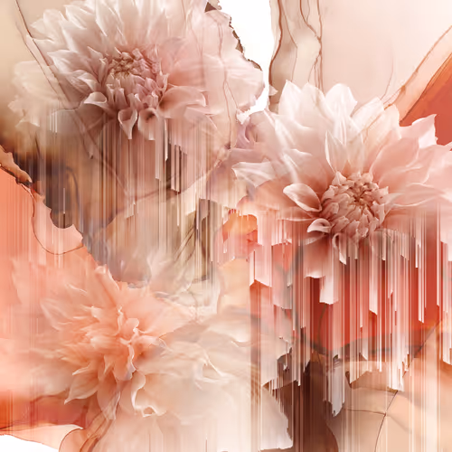 Apricot Blossom Design V2