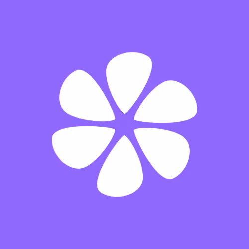 Lenster Supporter