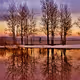 We're Cast by the Sun- Joe Schaeppi