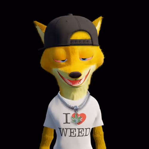STEEZY WTF