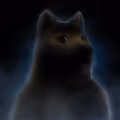SpaceDoge Official