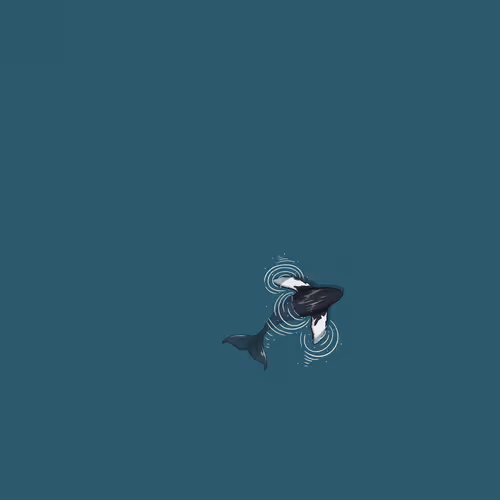 Whale by LA