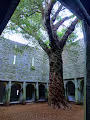 The Courtyard