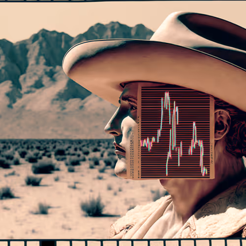 BEAR MARKET RODEO