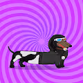 Degenerate Dachshunds Official
