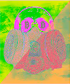 MKDesigns
