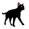 CatCatMeow Official